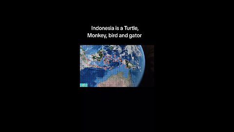 Indonesia is a Turtle, Monkey, bird and gator