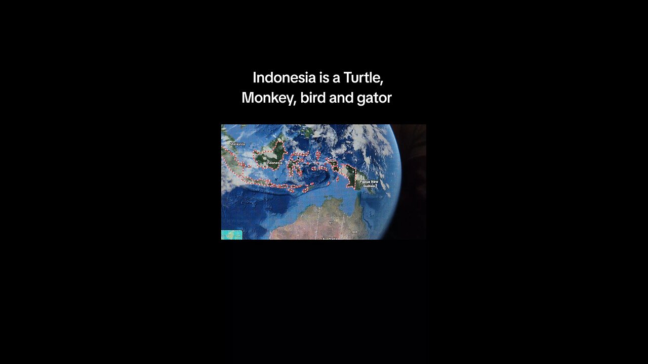 Indonesia is a Turtle, Monkey, bird and gator