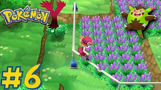 Pokémon Y - Episode 6: Grinding Experience