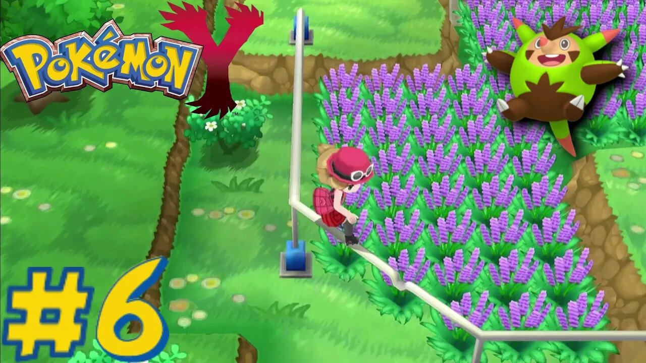Pokémon Y - Episode 6: Grinding Experience
