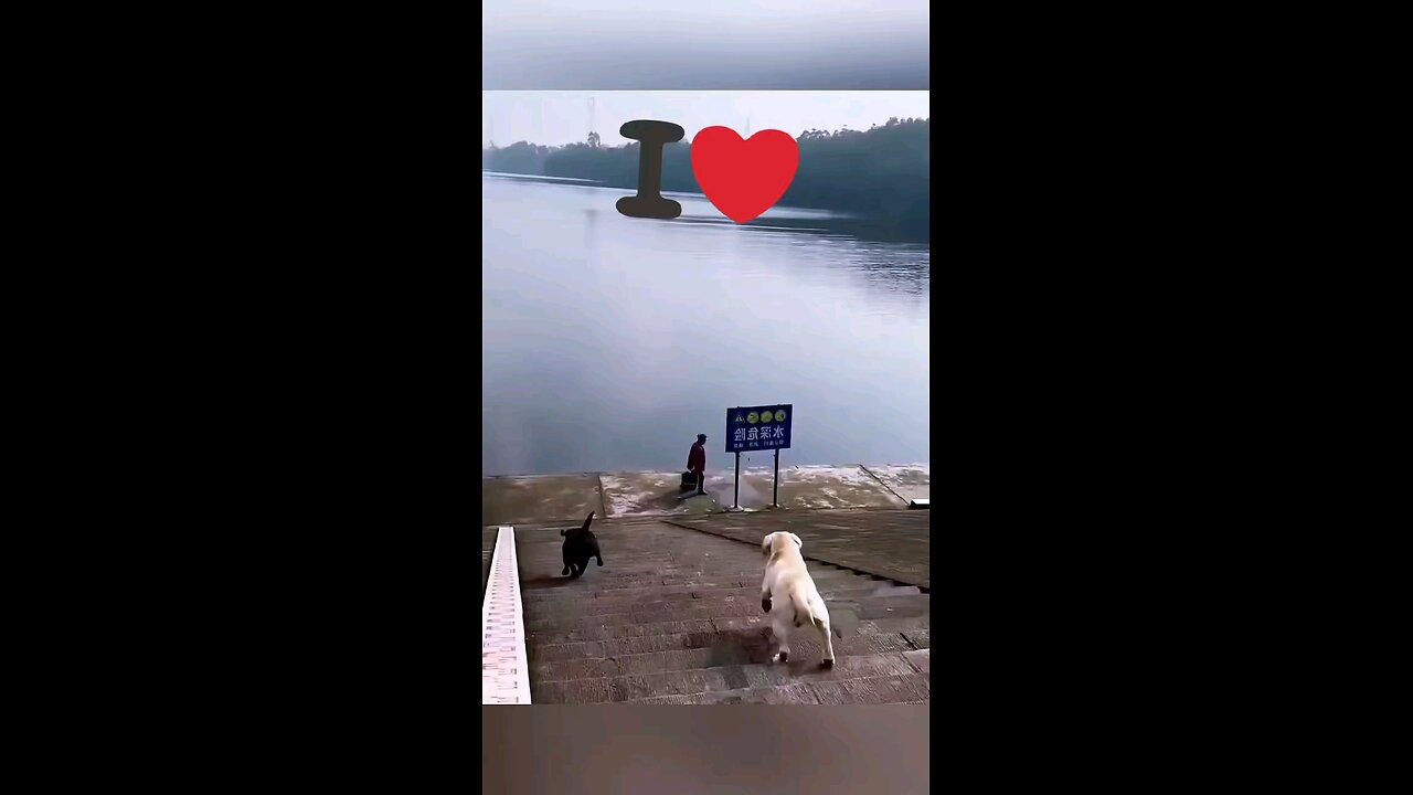 ncjdkvm k k
