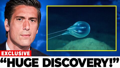 Scientists Discover Never-Before-Seen Species 4,000 Meters Deep in the Puerto Rico Trench