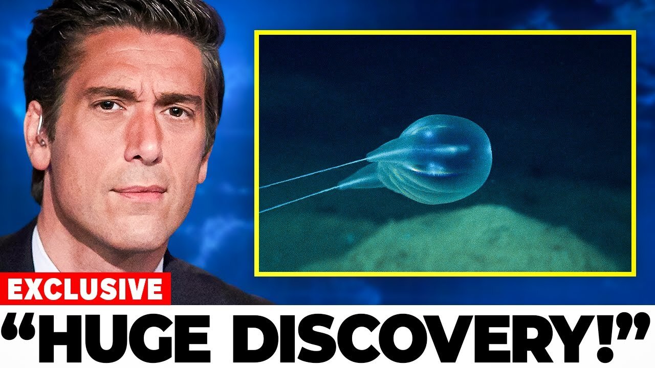 Scientists Discover Never-Before-Seen Species 4,000 Meters Deep in the Puerto Rico Trench