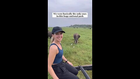 Best Safari In Sri Lanka At An Unbelievable Price!