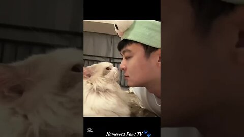 Pets Who Are Too Funny for Their Own Good!