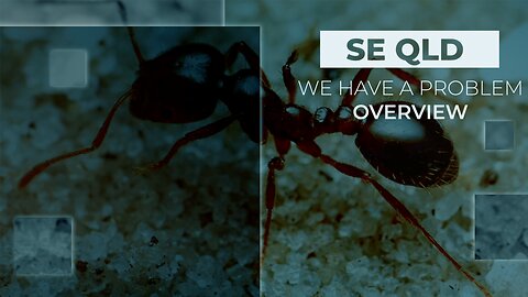 SE QUEENSLAND - WE HAVE A PROBLEM - OVERVIEW