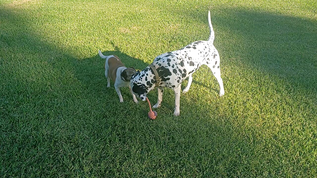 Tug of war
