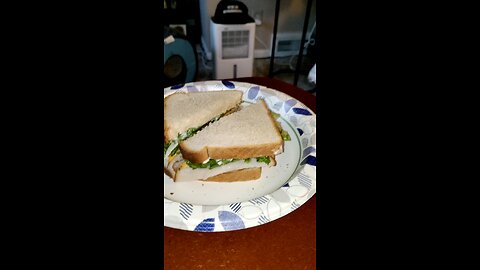 Eating Oscar Meyer Deli Fresh Smoked Turkey Breast, Dbn, MI, 9/3/25