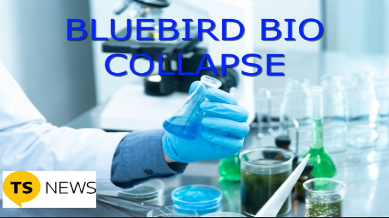 Bluebird Bio’s Collapse