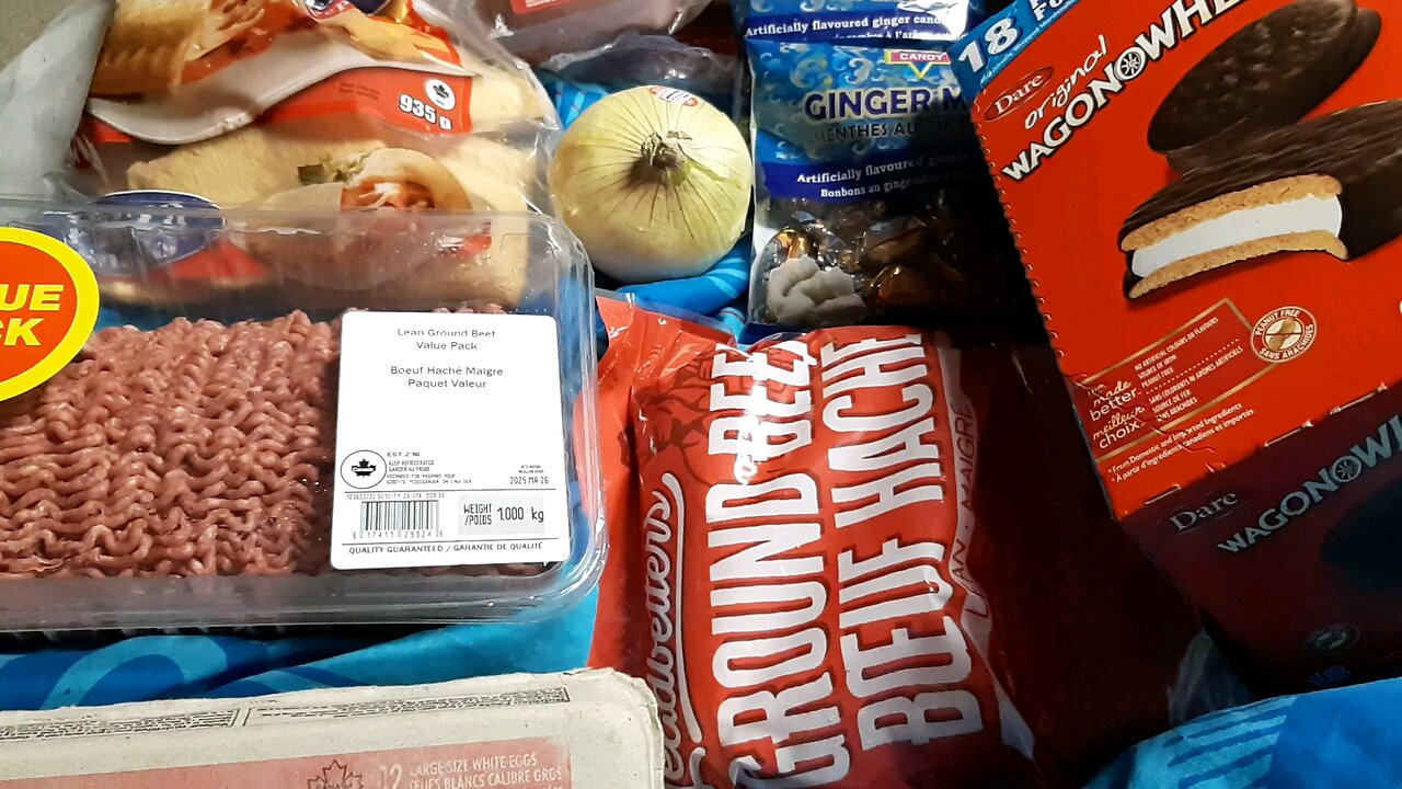 freshco grocery haul