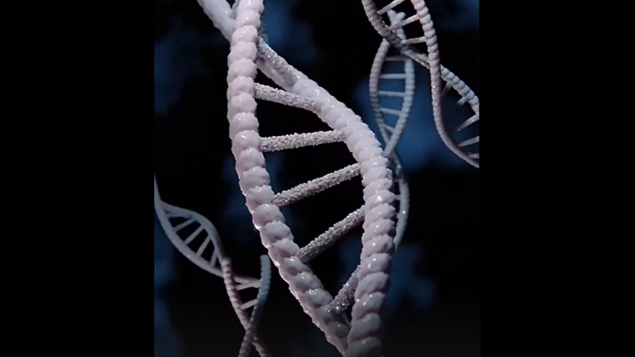 C28 Komodo Dragon Poop Homeopathic Trituration (2 min)