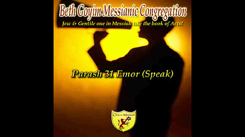 BGMCTV P082 Parash 31 Vayikra/Leviticus Emor 21:1-24:23