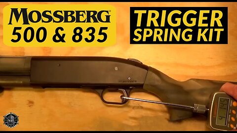 Mossberg 500 / Mossberg 835 MCARBO Trigger Spring Kit