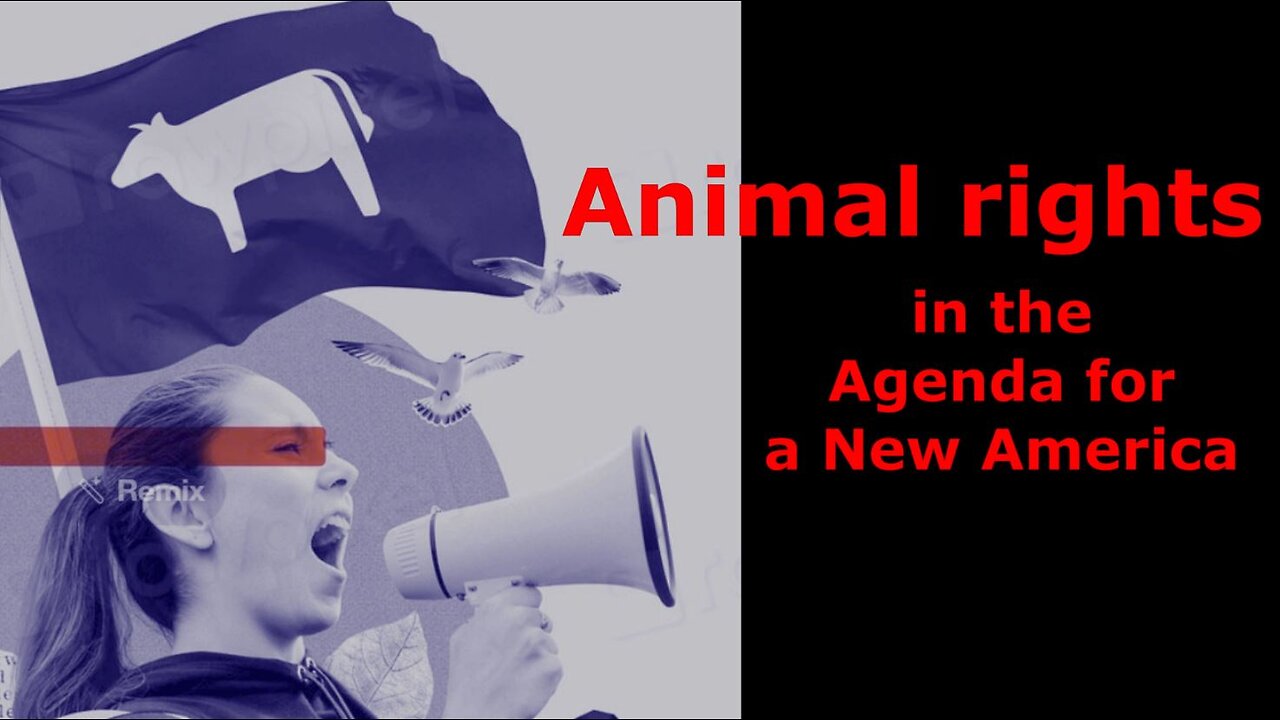 Adding animal rights to the Agenda for a New America