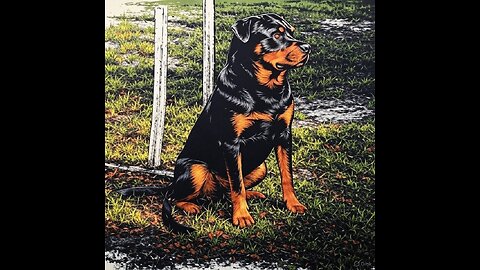 Canine Psychology Common Sense!
