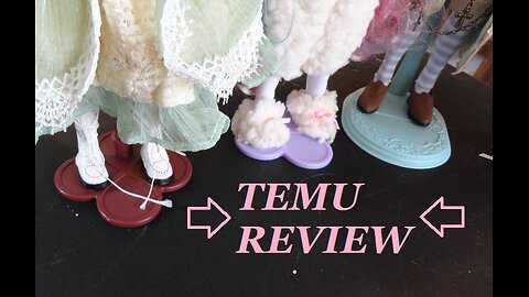 TEMU Review