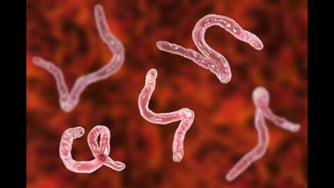 Parasites