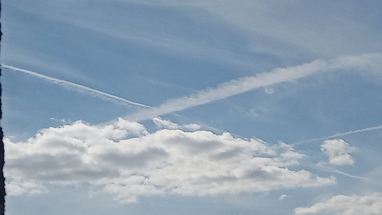 🇲🇽 Die mexikanische Senatorin Lilly Téllez war bei Fox