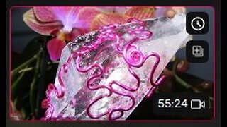 Phenotype Darpa MTO 1 of 6