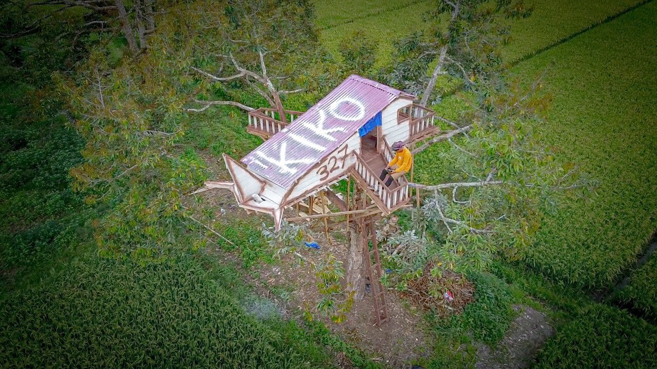 7 Days to build a plane tree house in the middle of a rice field at night!!!! #KOOKIKO