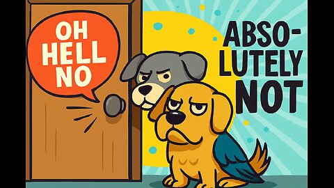 Funny animals and unexpected endings with hum..