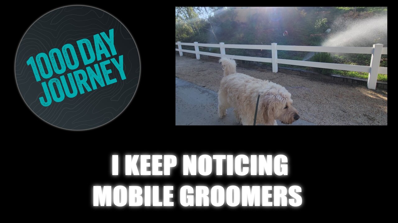 1000 Day Journey 0629 I keep noticing Mobile Groomers Today???