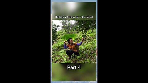 Building a lasting life in the forest Part 4.