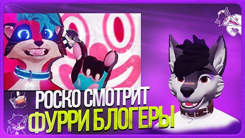 🐺 Роско смотрит Шнапишнафт - ФУРРИ БЛОГЕРЫ - Кто они на самом деле?