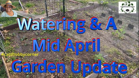 Watering & A Mid April Garden Update - #catshobbycorner #gardening