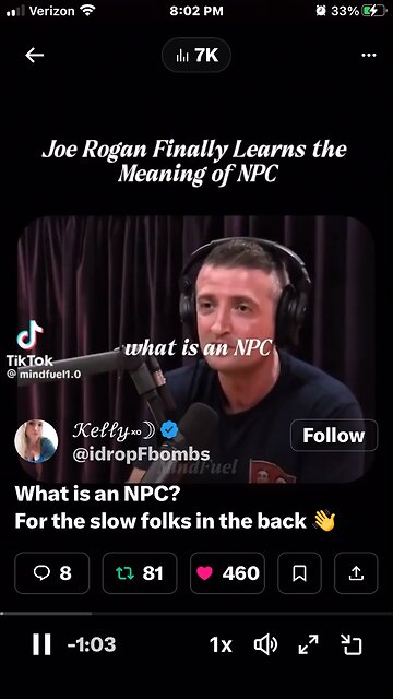 What is an NPC? For the slow folks in the back 👋
