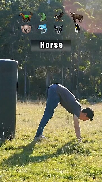 How Animals Fight😂😂