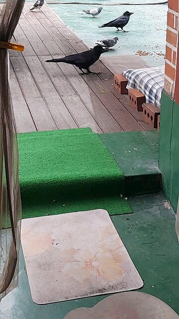 20251129. God made the world.