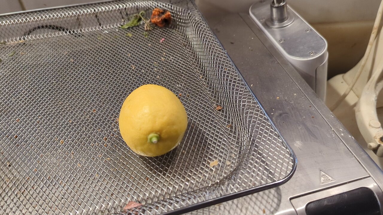 My Maryland Lemons