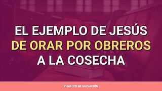 🛐 ️El ejemplo de Jesús de orar por obreros a la cosecha | Lucas 6:12-16