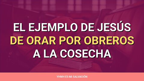 🛐 ️El ejemplo de Jesús de orar por obreros a la cosecha | Lucas 6:12-16