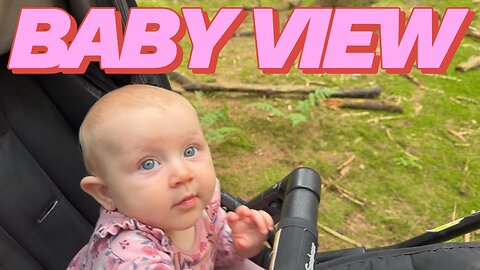 Baby Kayla’s Forest View – A Peaceful Baby Cam Adventure in the Woods 🌲