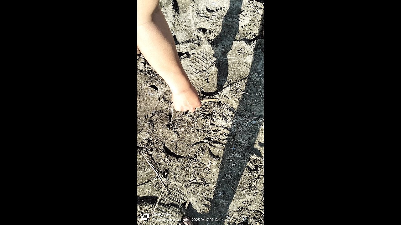 Sea ⛵🌊 you