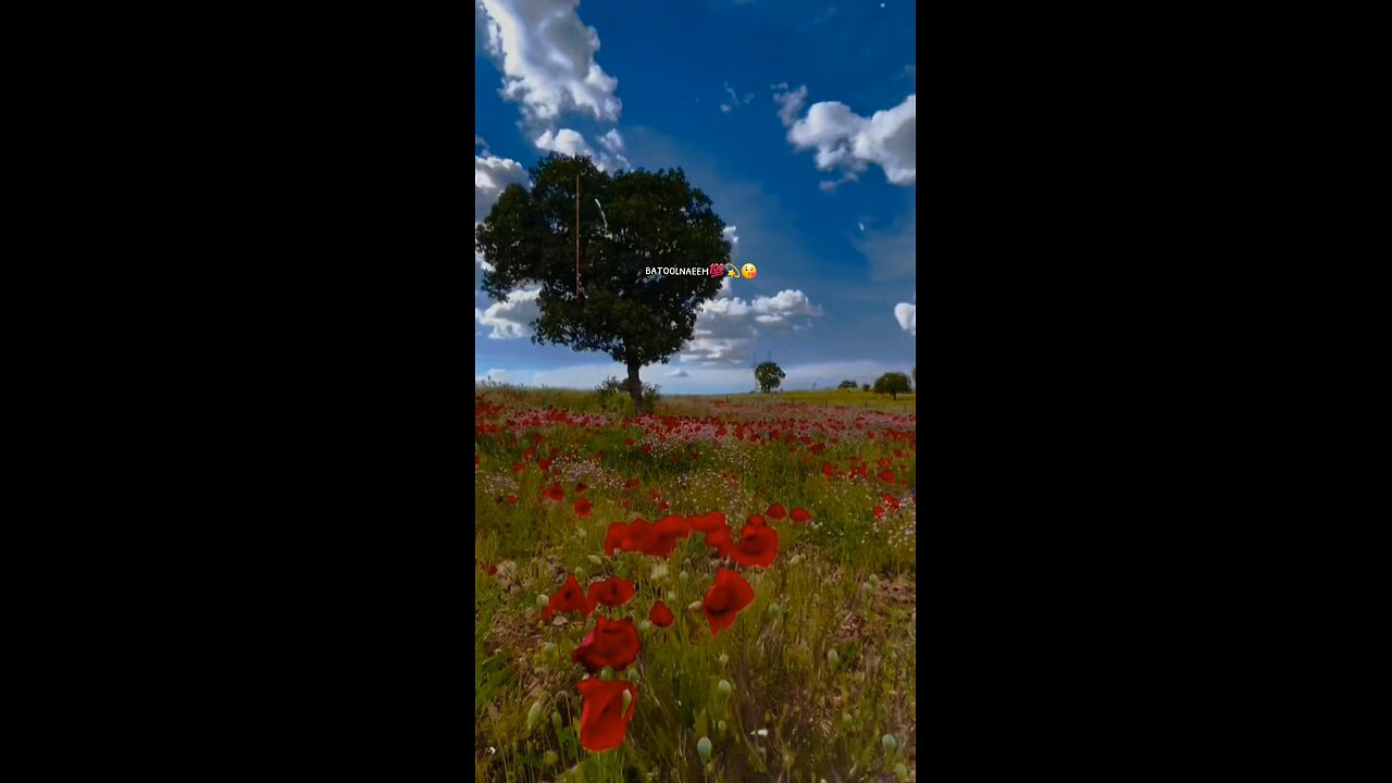 #foryoupage#viralvideo