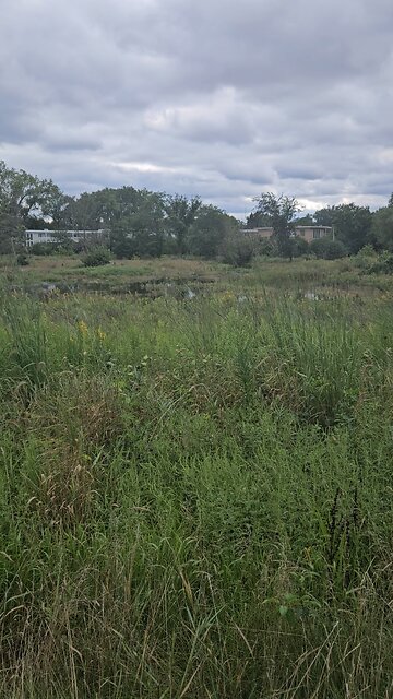 Low Wetlands Flooding