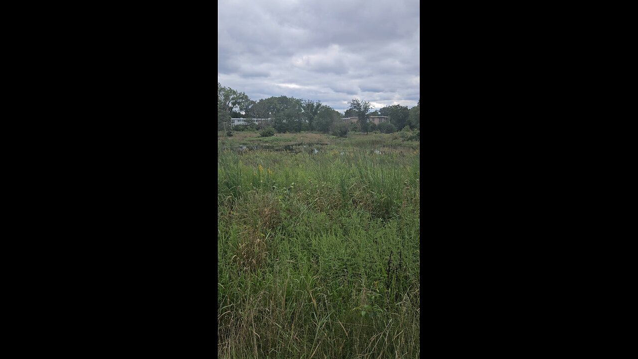 Low Wetlands Flooding