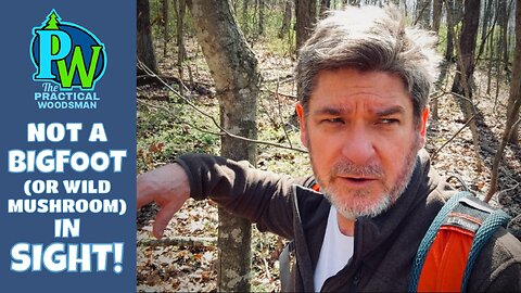 Ep 180: Indisputable Proof Bigfoot Exists: Total Absence of Morels