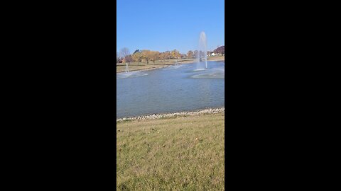 My Peaceful Place - Gratitude