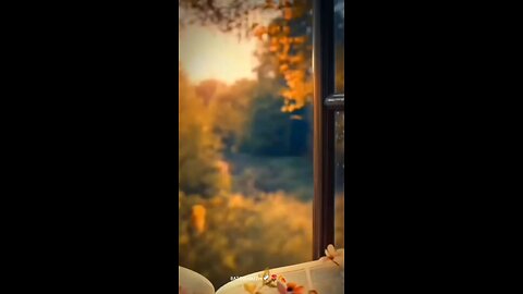 #foryoupage#viralvideo