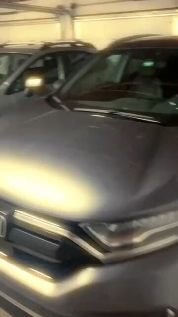 Gold in me - Johnny2loco trailer