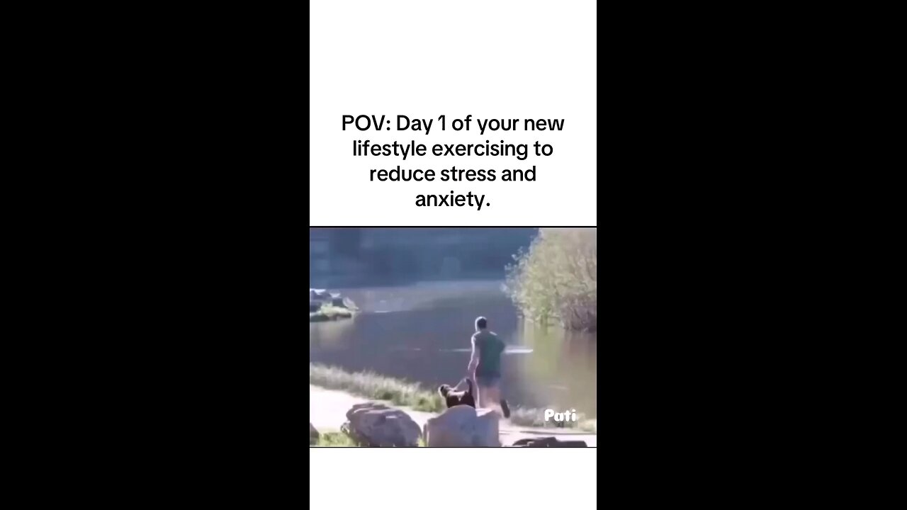 funny animals