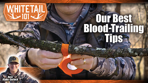 How to Track a Deer After You’ve Shot It