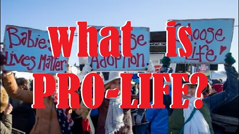 what is PRO-LIFE?