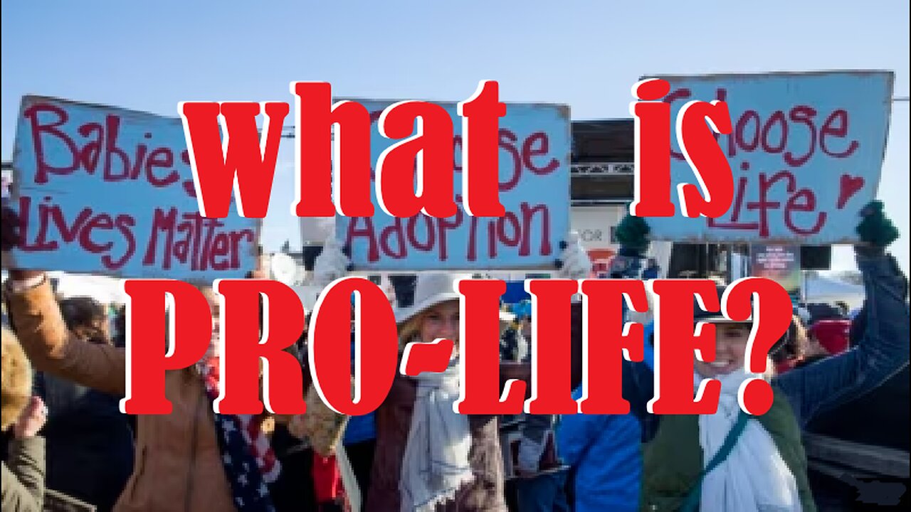 what is PRO-LIFE?