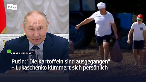 "Die Kartoffeln sind ausgegangen" – Lukaschenko kümmert sich persönlich