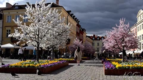 Апрель. Авторская песня